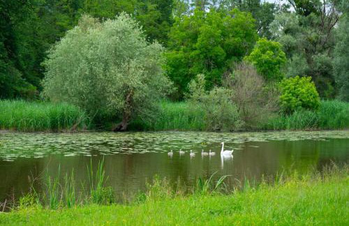 Kuća za odmor Marof - Foto 23