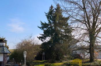 FeWo Warburg - Foto 10