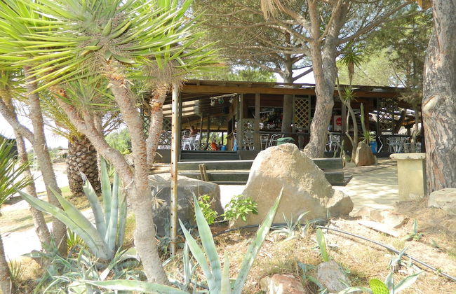 Villaggio Porto Corallo - Foto 28