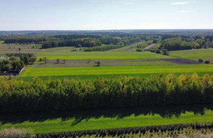 Sielski Dom I Sauna i Jacuzzi dodatkowo płatna opcja - Foto 33