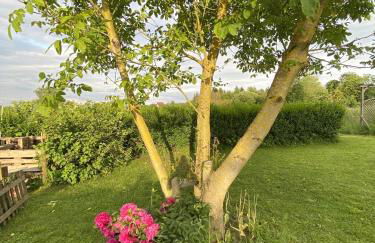 Ferienwohnung Bliesgau - Photo 10