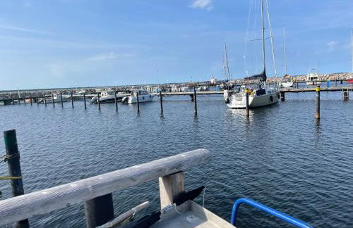 Reethaus Seeadler mit Sauna, Terrasse, Garten - Foto 16