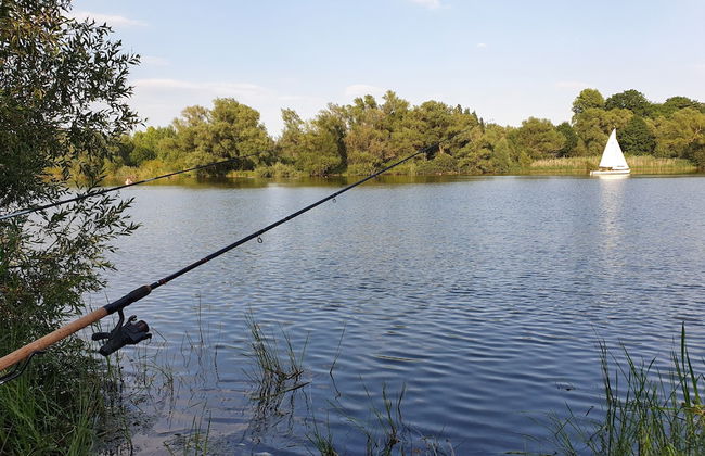 Apartmenthaus in Walle - Foto 59