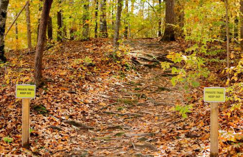 Studio Apt on HRT hosted by Longview Stays - Foto 20