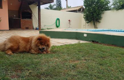 Casa com piscina e churrasqueira • Cabo Frio Ogiva - Foto 5