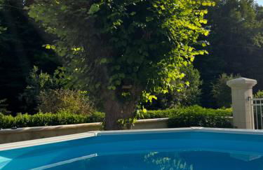 Altanka, Maison, calme au milieu de la nature près de Beauval, Chenonceau et autres chateaux de la Loire - Foto 3