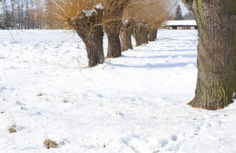 KASTANIENHOF im Spreewald - Foto 8
