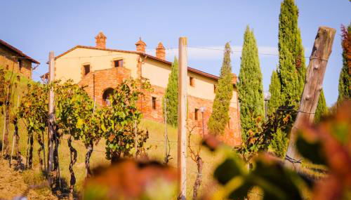 Colle Bertini - Foto 3