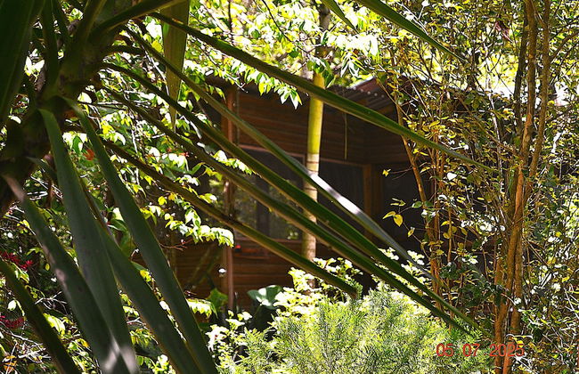 Licensed 2 Bedroom Cabin Close to San Ignacio, Local Dining, and Adventure Tours - Foto 1