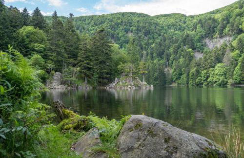 Grand Mobil Home 6 personnes climatisé avec 3 chambres et 2 salles de bains à Munster en Alsace - Foto 42