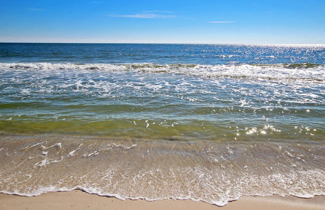 Tradewinds 807 - Photo 40