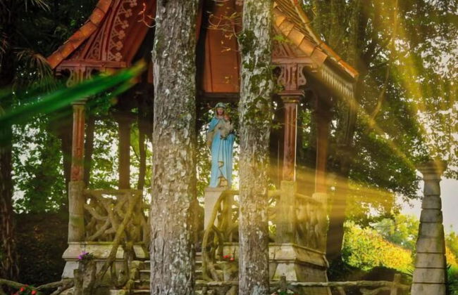 Domaine de Saint-Orens​ - Photo 44