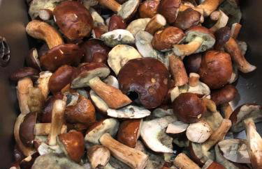 Apartament Jeziorna - Foto 6