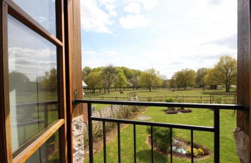 Gîte familial 12 pers., animaux acceptés, à l'orée de la forêt - FR-1-497-18 - Foto 31