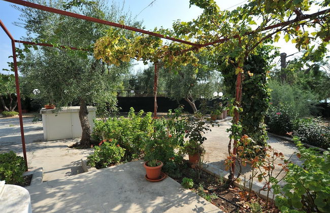 B&B Lido dei Pini - Photo 35