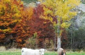 La casa de Juan el Cantero - Foto 27