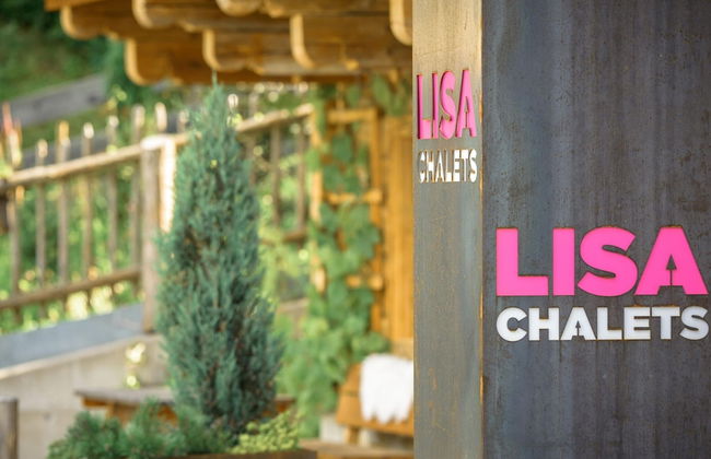 Chalet in Flachau With Sauna - Foto 42