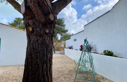 Calme et Tranquillité - Foto 21