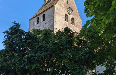Badischer Neubau-Ruhe-Kunst-Natur - Foto 57