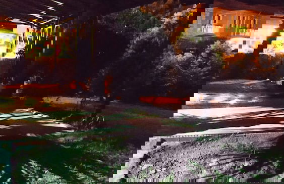 The Palm Apart Sarigerme - Foto 61