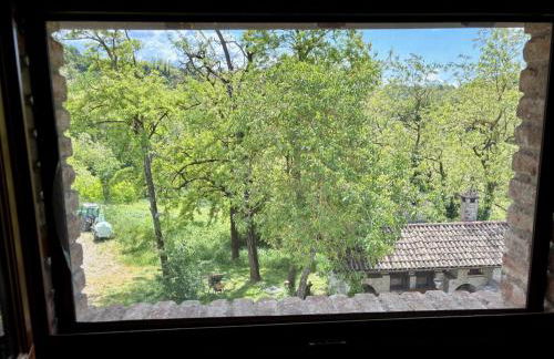 Tenuta Bellingeri - Locanda del Barco - Foto 55