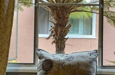 Manuel Y Sonia-La casa de los Angeles - Foto 24