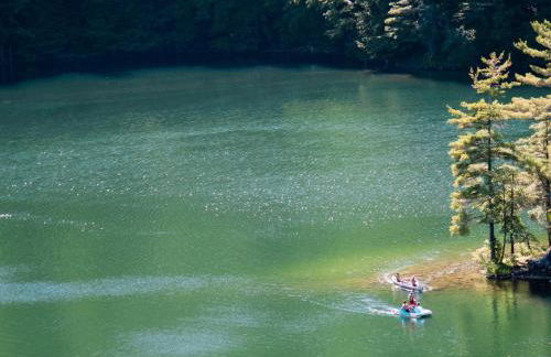 Fireplace, Ski-Okemo, Apple Trees, Piano, Amazing Views, Firepit, Priory, Pool, Fields, Theatre! - Foto 65