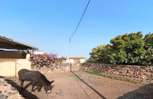 Casa Las Toscas - Foto 42