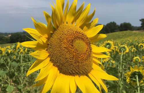 Tuscany Nature Relax - Photo 21