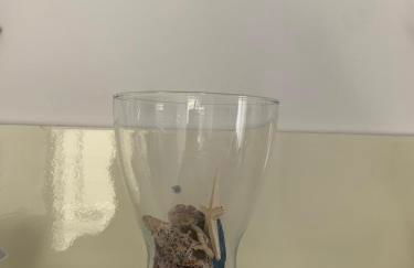 Costa Trabocchi appartamento sul Mare - Foto 40