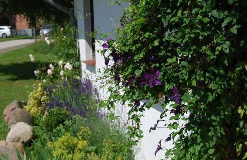 Wohnung in Dargun, Mecklenburg mit Schwimmbad - Foto 35