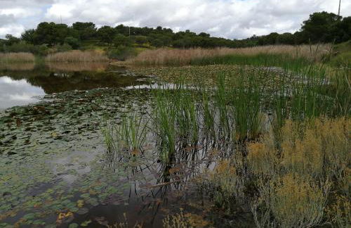 Quinta da Fornalha - Santuario Agroecologico - Foto 14