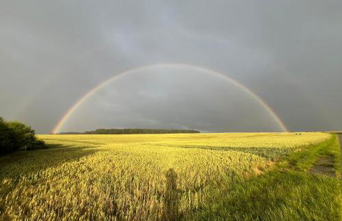 Maisonette im Fachwerkhaus - Foto 37