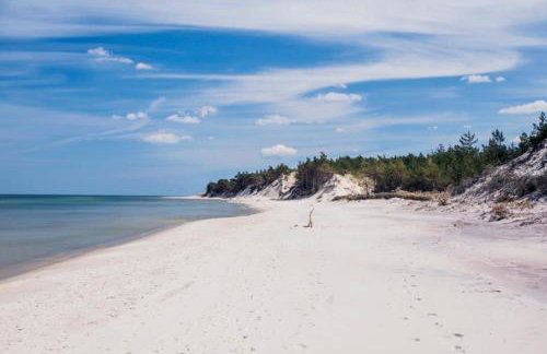 Apartament Pod Papugami w Porto Łeba - Foto 14