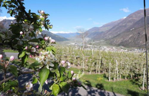 Draxlhof Latsch - Foto 17
