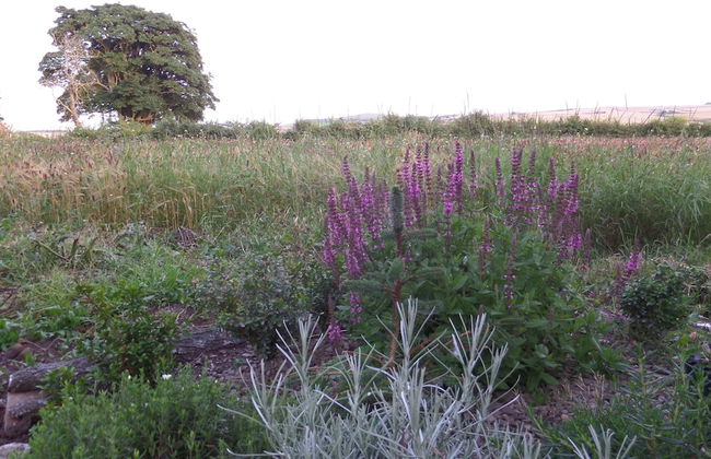 Charming 1-bed Garden Lodge in Boyndie, Banff - Foto 17