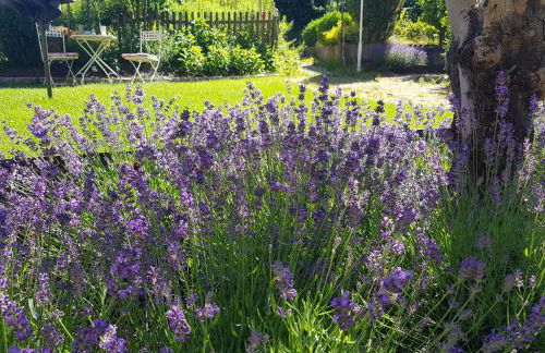 Ehemalige Klosterschmiede -Wirtschaftswunder- - Foto 13