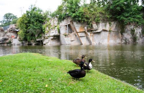 Carrière de la Tour - Foto 4
