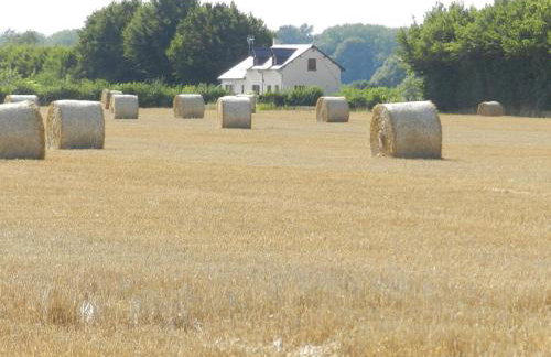 Gîte La Grenouillère - Foto 38