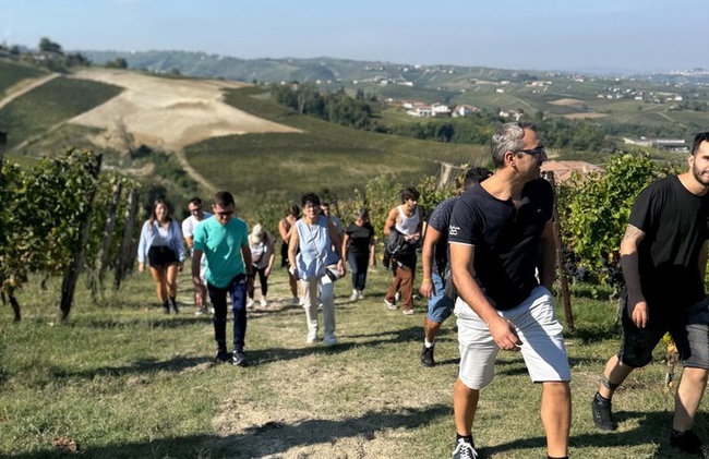 Dégustation de vins avec le producteur Visite la cave e vignoble - Photo 16