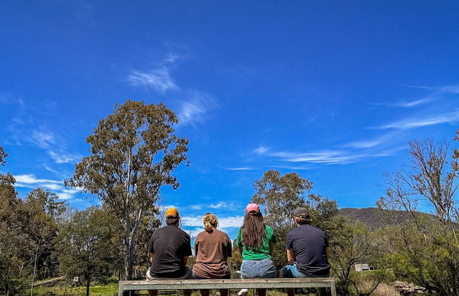 BIG4 Breeze Holiday Parks - Eildon - Foto 73