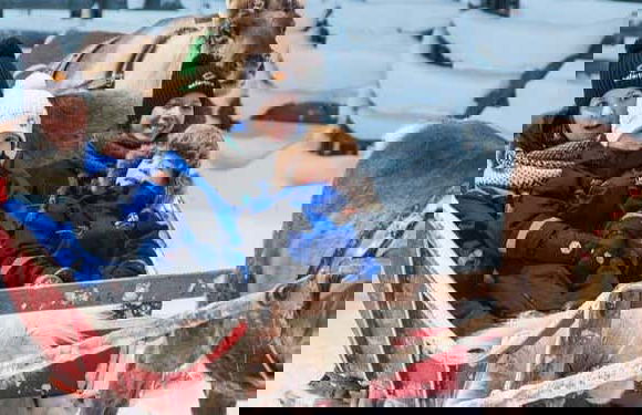 Ylläs Reindeer Sleigh Ride - Foto 5