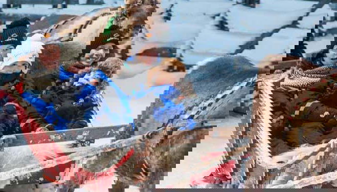 Ylläs Reindeer Sleigh Ride - Foto 1