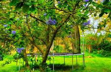 Belle maison de vacances entre Saint-Malo et Mont-Saint-Michel. Le Clos Fleuri - Foto 35