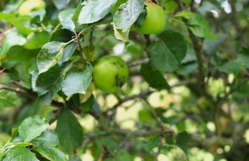 Clint Lodge - Foto 44