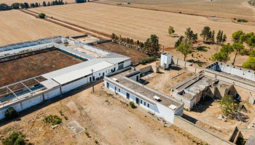 Masseria Delle Api - Foto 5