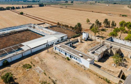 Masseria Delle Api - Foto 5