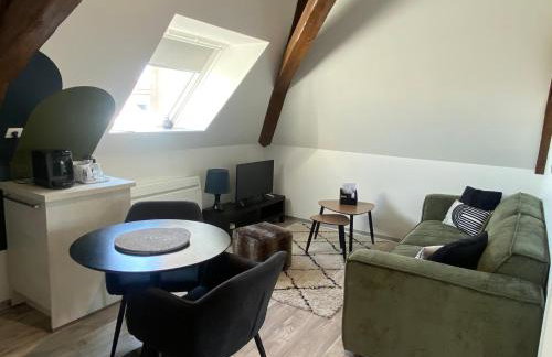 Les Rives des Habsbourg - Foto 55