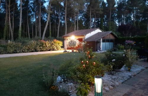Gite climatisé L'Orée des Landes Proche Center Parcs - Foto 27