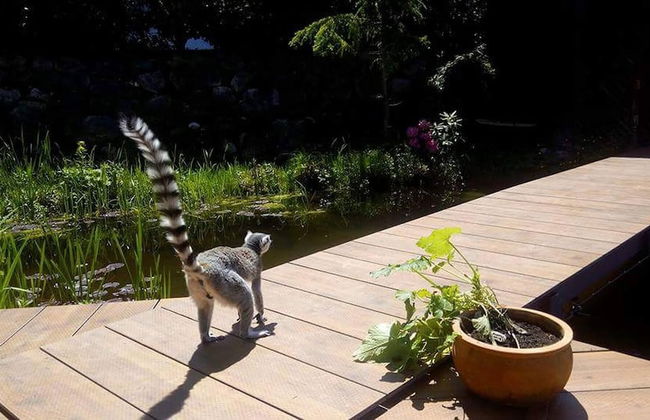 Kaiserlounge Harald Astner Ebbs - Foto 29